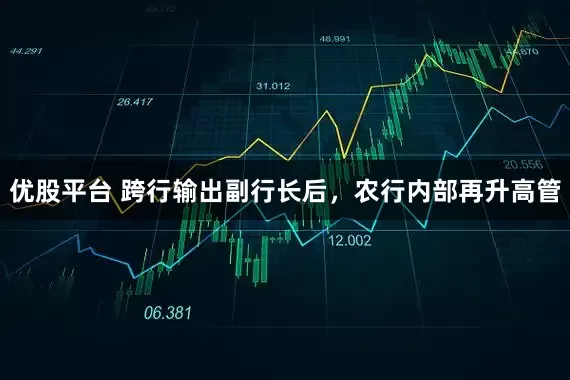 优股平台 跨行输出副行长后，农行内部再升高管