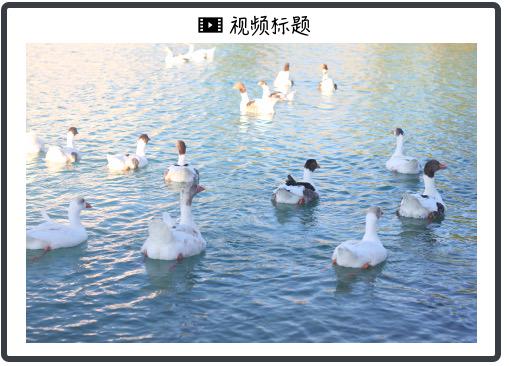 车优配 马斯克不装了，对特朗普“大漂亮”法案很“失望”